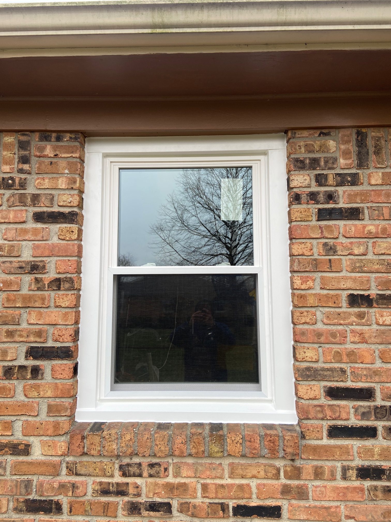 Windows & Doors